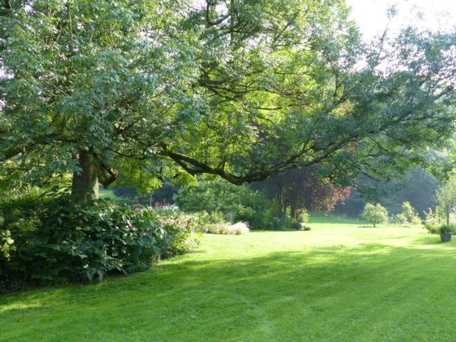 Le Jardin Du Rossignol Διαμέρισμα Willeman Εξωτερικό φωτογραφία